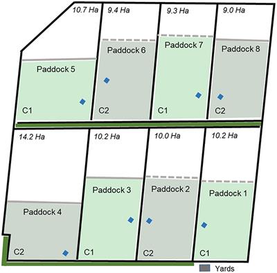 Virtual Fencing Is Comparable to Electric Tape Fencing for Cattle Behavior and Welfare